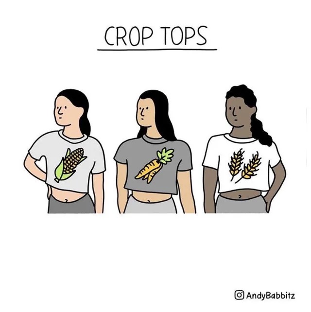 crop_tops.jpeg